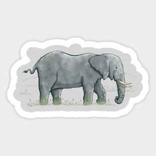 Traveling Elephant Sticker